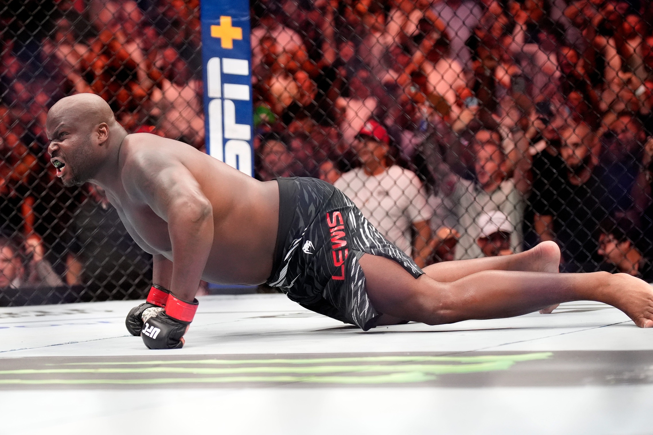 Best MMA Streams for Every MMA Event