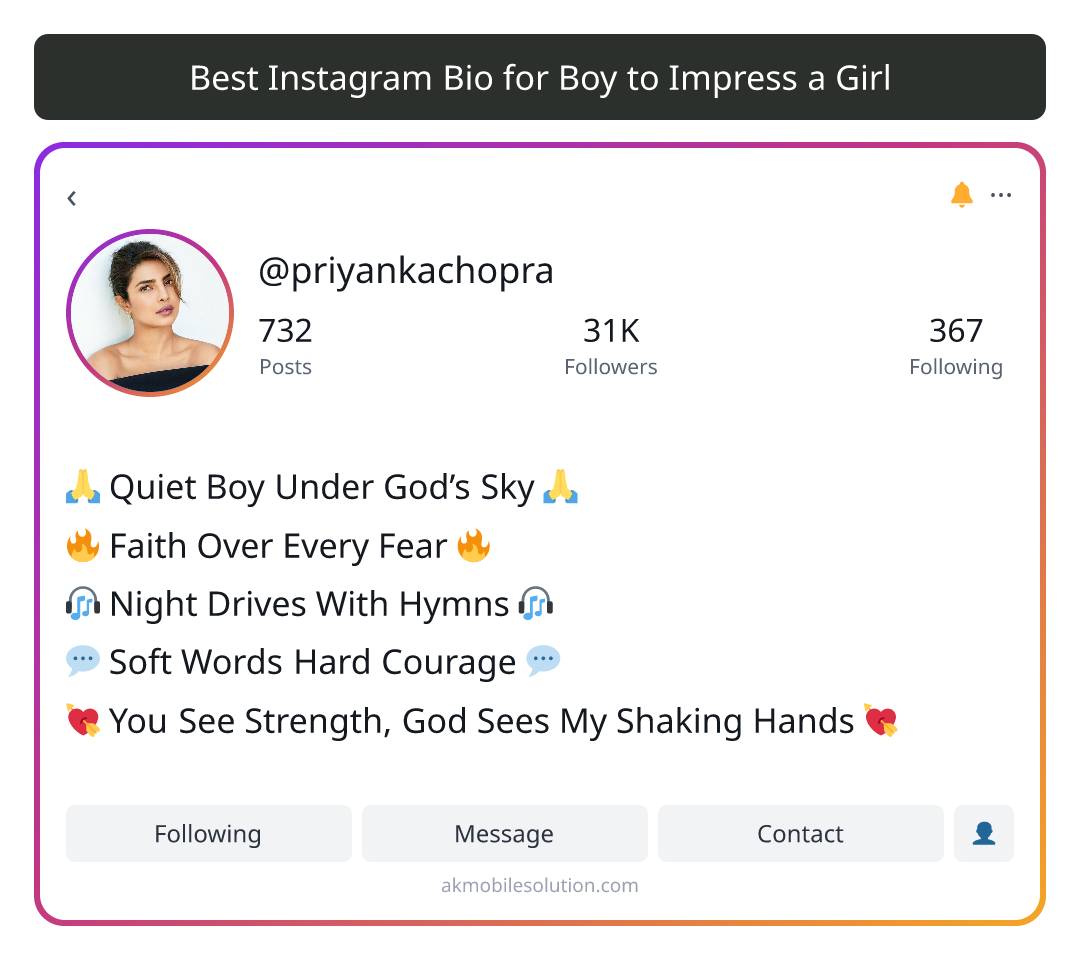 Best Instagram Bio for Boy to Impress a Girl