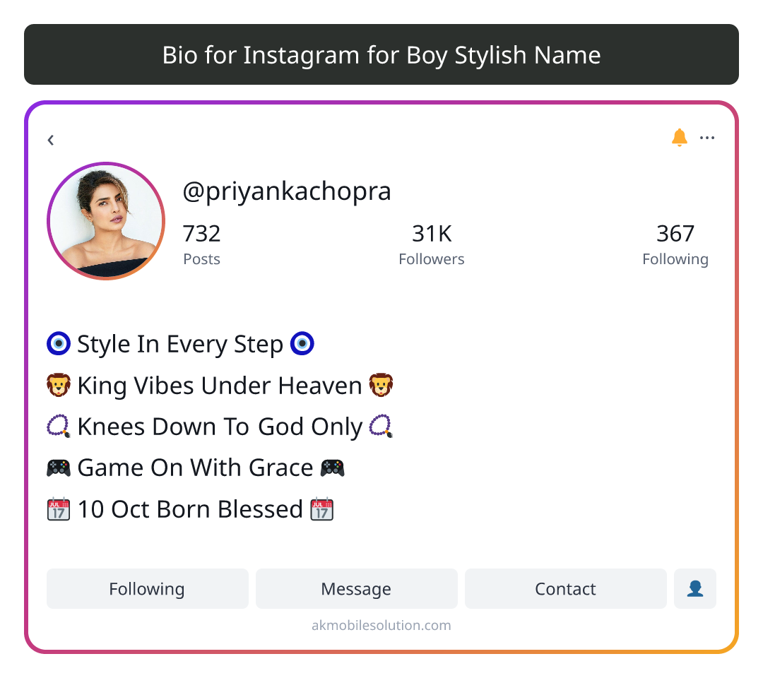 Bio for Instagram for Boy Stylish Name - best instagram bio for boy