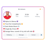 Boy Insta Bio Attitude