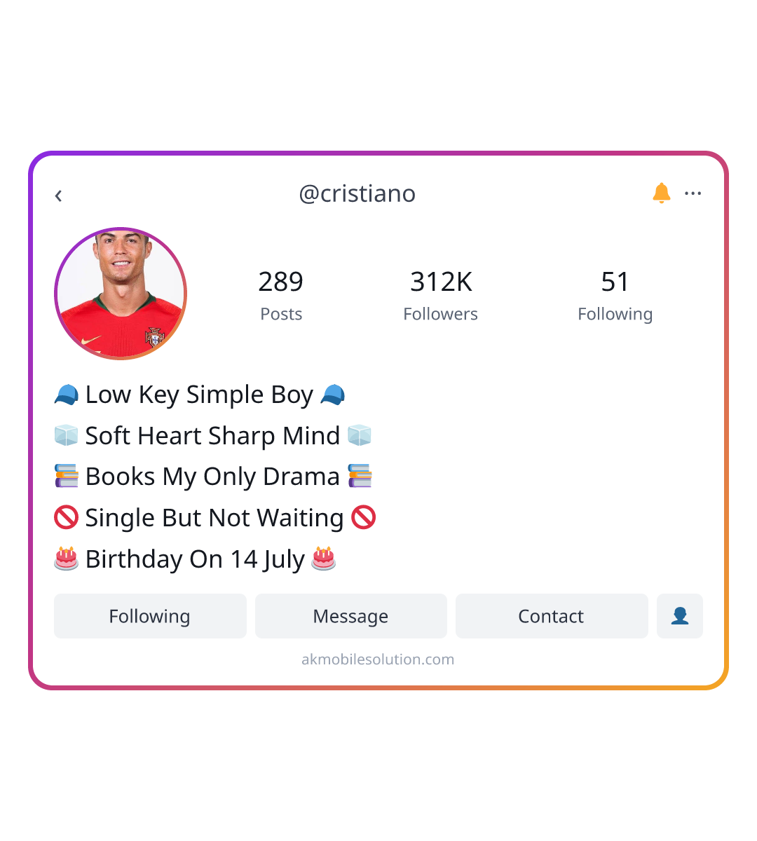 Boy Insta Bio Attitude Simple