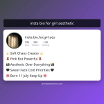insta bio for girl aesthetic