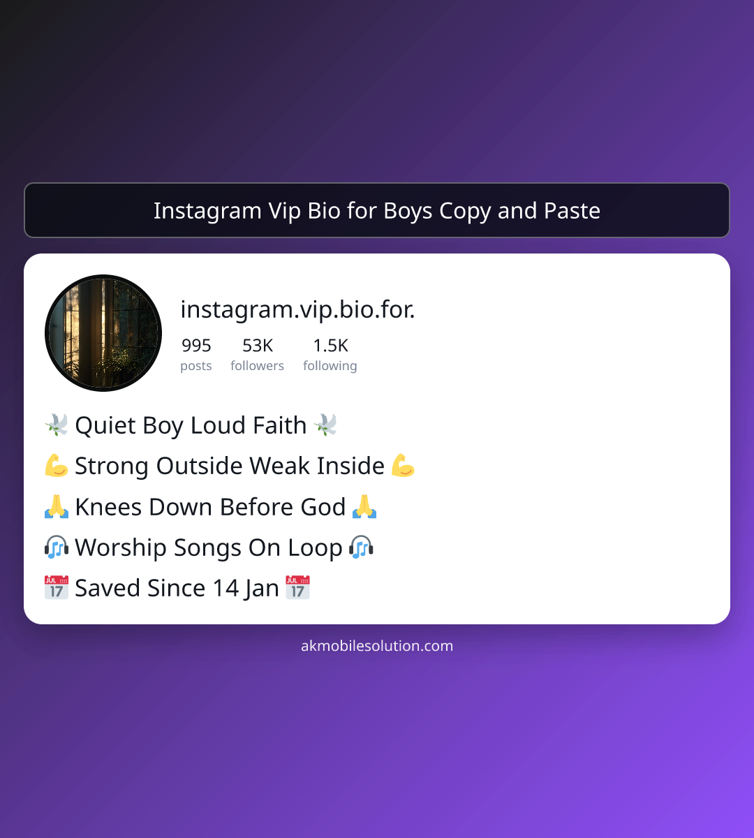 Instagram Vip Bio for Boys Copy and Paste