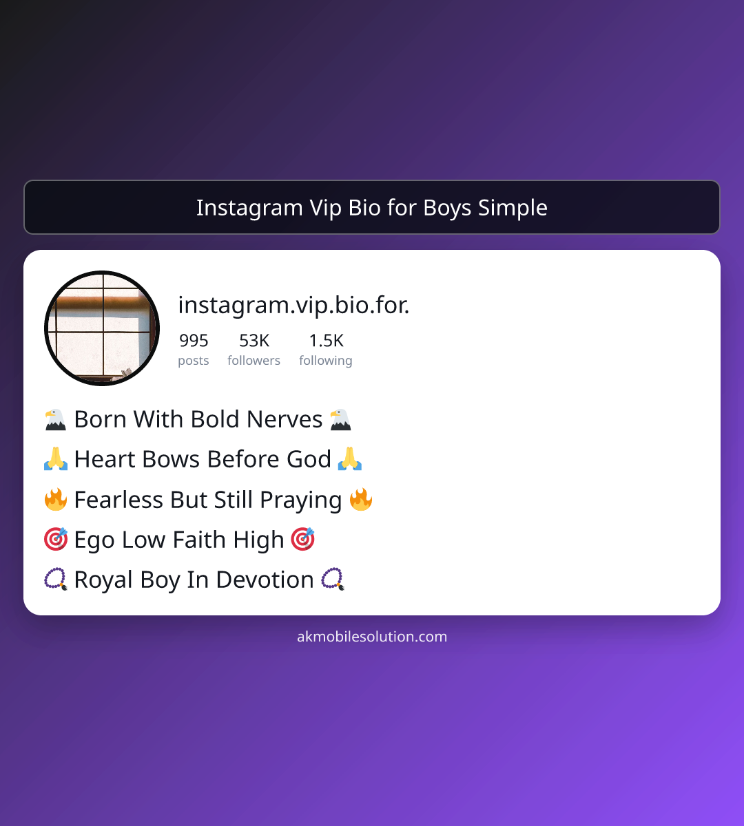 Instagram Vip Bio for Boys Simple